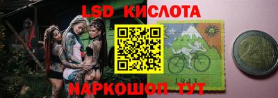шишки Будённовск