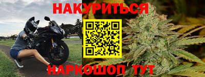 шишки Будённовск