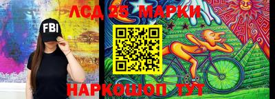 шишки Бузулук