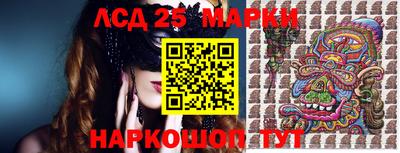 шишки Будённовск