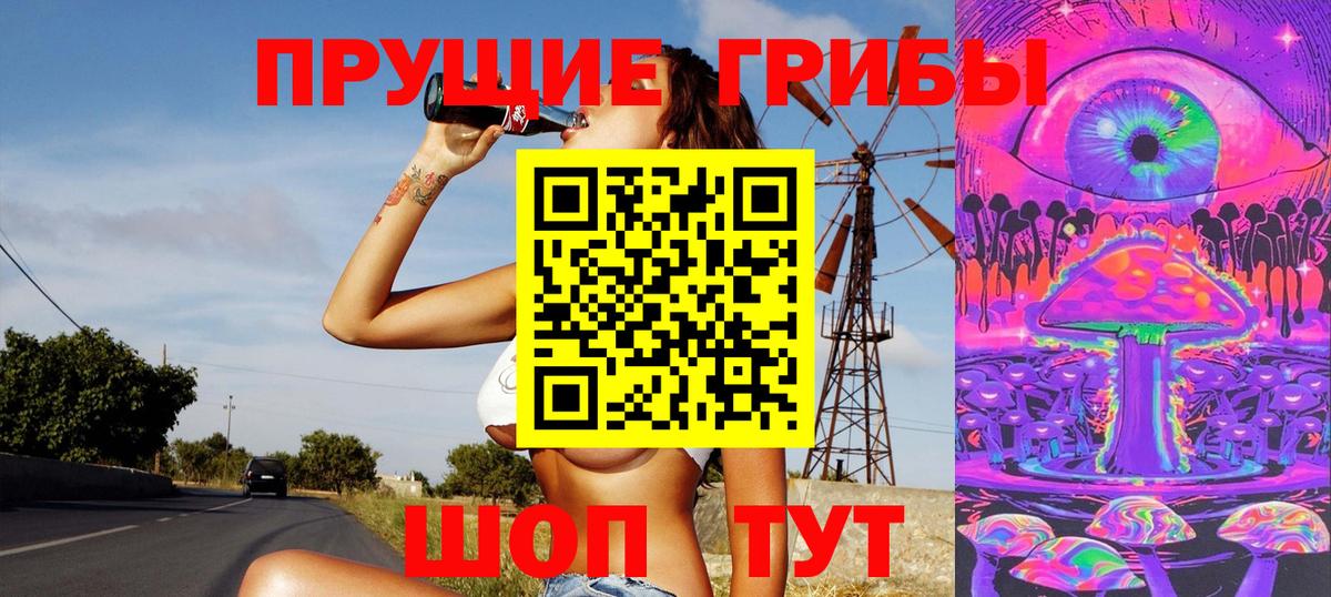 Саратов  Псилоцибиновые грибы мицелий  Вход с VPN 